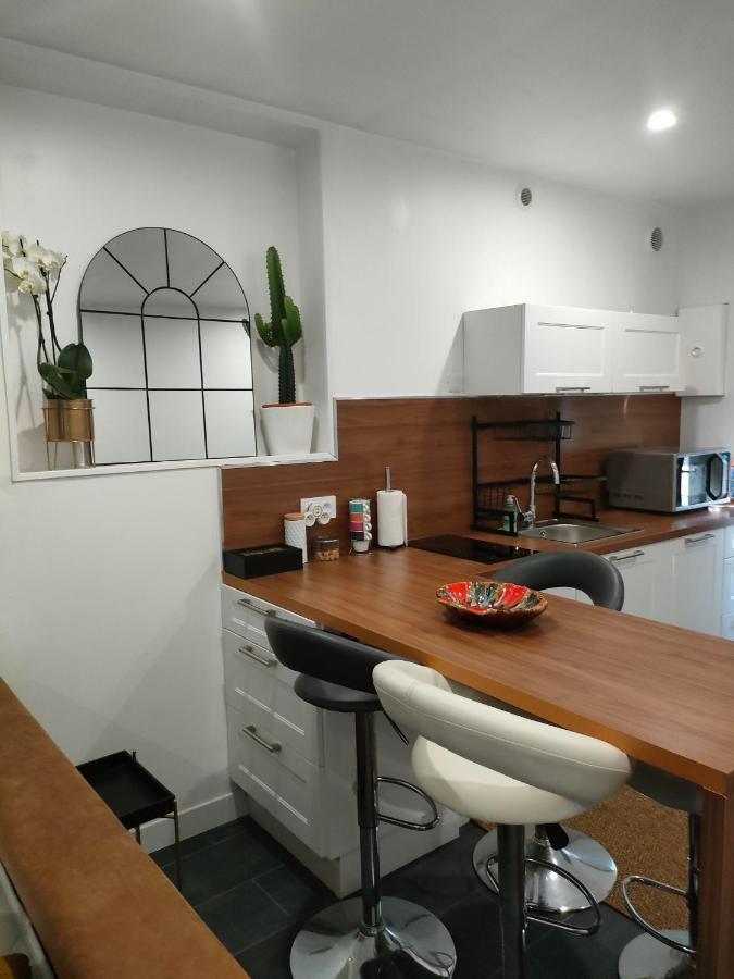 Vénissieux Le Petit Cocon - Parking Prive - Lyon Sud 아파트 외부 사진