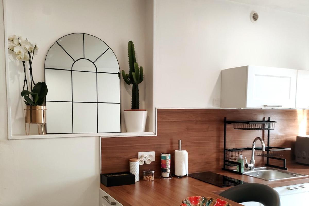 Vénissieux Le Petit Cocon - Parking Prive - Lyon Sud 아파트 외부 사진